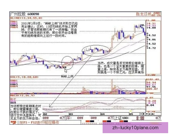 科布伦茨76至90图寅根雷达虎发展应用与技术创新研究分析